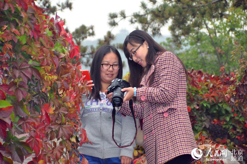 �ο�������W(w��ng)���m �z