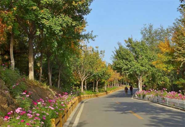 2014���m��(gu��)��ɭ�ֹ��@̤�๝(ji��)����