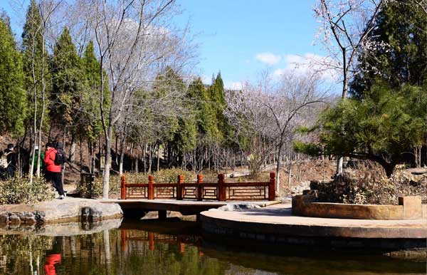 2014���m��(gu��)��ɭ�ֹ��@̤�๝(ji��)����