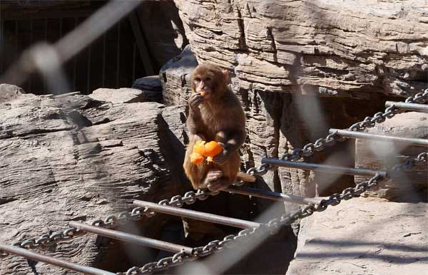 2014���m��(gu��)��ɭ�ֹ��@̤�๝(ji��)����