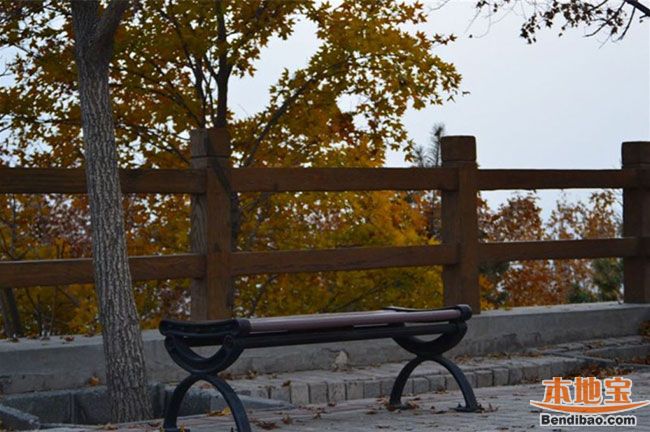 ���쵽���￴�t�~ ���m��(gu��)��ɭ�ֹ��@�H���κ�ȥ̎