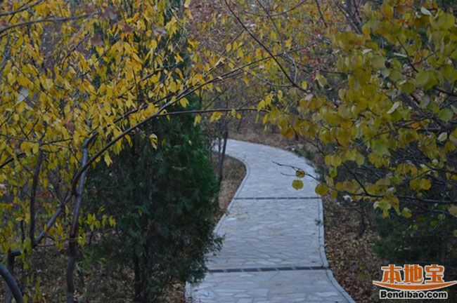 ���쵽���￴�t�~ ���m��(gu��)��ɭ�ֹ��@�H���κ�ȥ̎