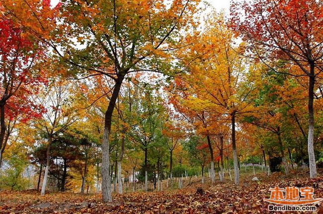 ���쵽���￴�t�~ ���m��(gu��)��ɭ�ֹ��@�H���κ�ȥ̎