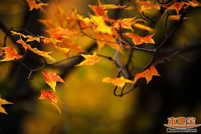 ���쵽���￴�t�~ ���m��(gu��)��ɭ�ֹ��@�H���κ�ȥ̎