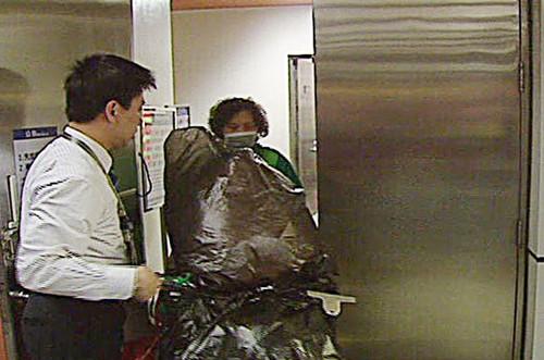 ���ӵ��F��]������������������(n��i)�����x����