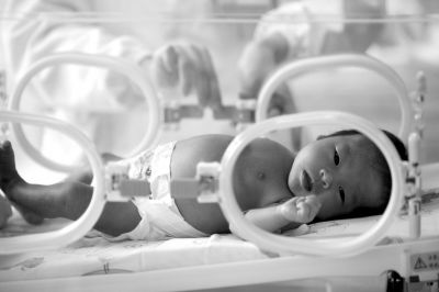 �������������ڲ����ȡ��Y�ψDƬ�D/CFP