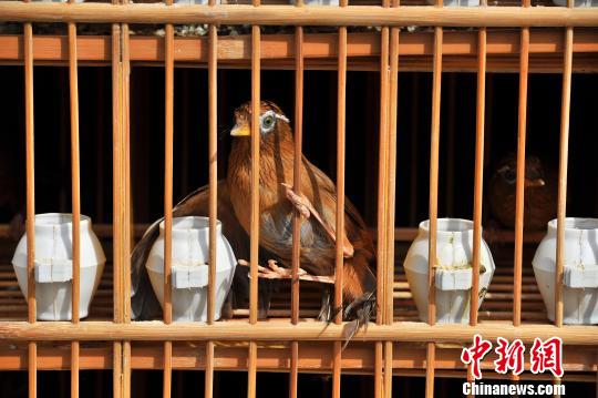 ���φ���(d��ng)��Ҏ(gu��)ģҰ����(d��ng)��������(d��ng)���D��