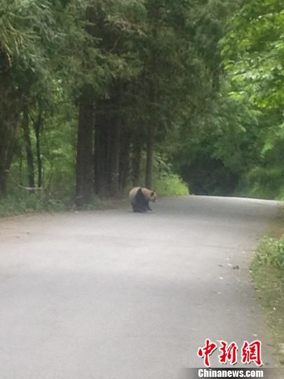 �Ĵ��ƼҺӾ��^(q��)�ο������ĵ�Ұ������؈���eɢ��