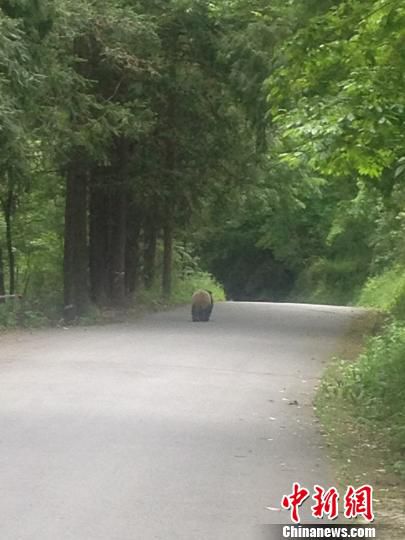 �Ĵ��ƼҺӾ��^(q��)�ο������ĵ�Ұ������؈���eɢ��