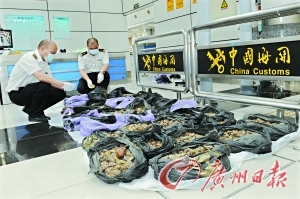 ���ڞ����P(gu��n)��@һ������ԭʯ������