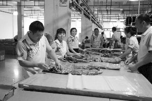 ����������醱���