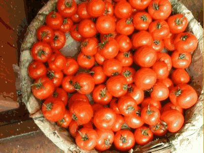 ����õĕr(sh��)�⡱����õĕr(sh��)�� �V��(ch��ng)����f�����˶�Ҫ������