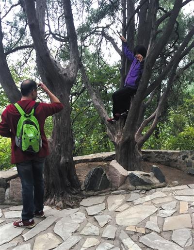 北京7萬人赴香山賞紅葉 路堵難行亂象多(圖)