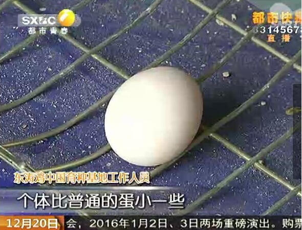 �L���^(q��)�B(y��ng)ֳ�����F(xi��n)��Ҋ�u ���ȹ��u��rһ�f��