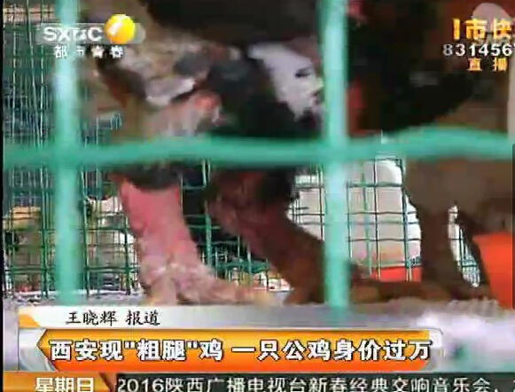 �L���^(q��)�B(y��ng)ֳ�����F(xi��n)��Ҋ�u ���ȹ��u��rһ�f��