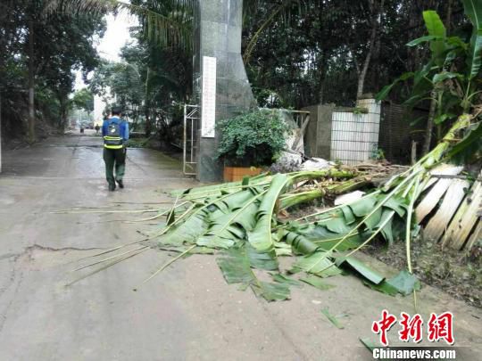 �D��Ұ�󌢴��T�ɂ�(c��)�����ײ�����Ž������� ���ڲ� �z