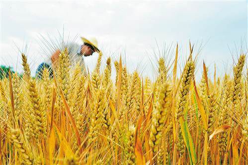 ɽ�|ʡ�����������(zh��n)�r(n��ng)�������������6��4�Քz��