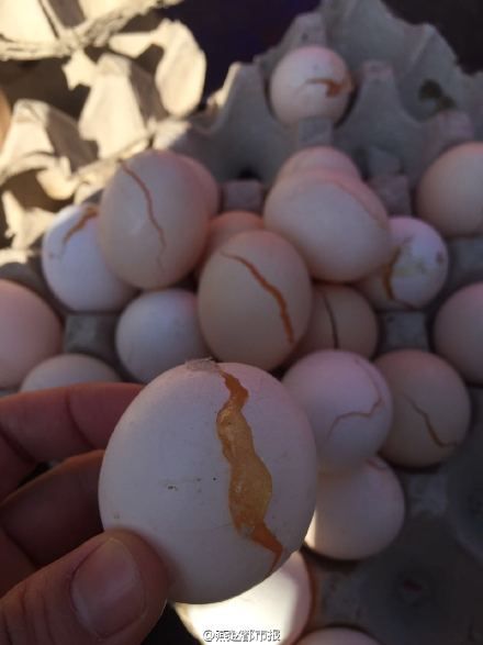 �ӱ����_��͜�-15��C �u����������