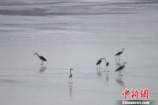 ���Ї��Q���������Խ�����B�����^����������