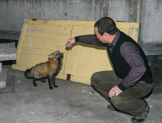 ����һ����ǬF(xi��n)��؂ ����ʳ�T��2�β�ץס(�D)