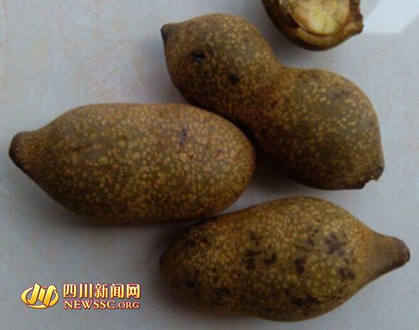 ���Ӿ��^(q��)�I������ˎ���¸�ĸ�ж� �t(y��)��:����ˎ