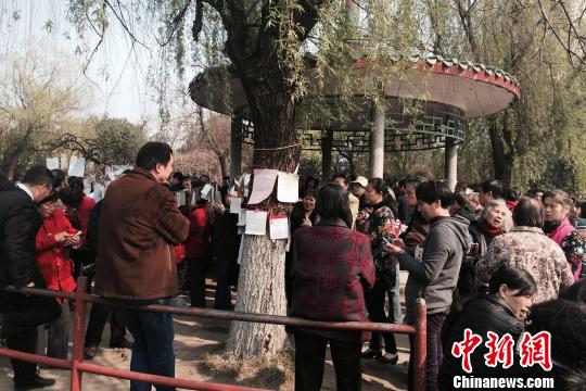 南昌現(xiàn)“父母代相親”場(chǎng)景專家:尋緣還得親自出馬(圖)