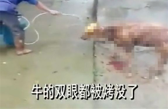 �F���(zh��n)�h(yu��n)���ذl(f��)�����𿾻������¼� �������J(r��n)(�D)