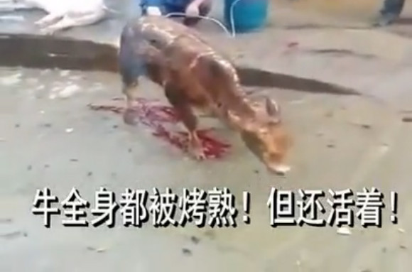 �F���(zh��n)�h(yu��n)���ذl(f��)�����𿾻������¼� �������J(r��n)(�D)