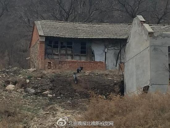 ��؂�M(j��n)���r(n��ng)��