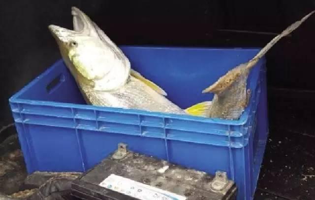 �����潭߅늵�25���؃������~ Ҋ��(zh��)���ˆT�_��