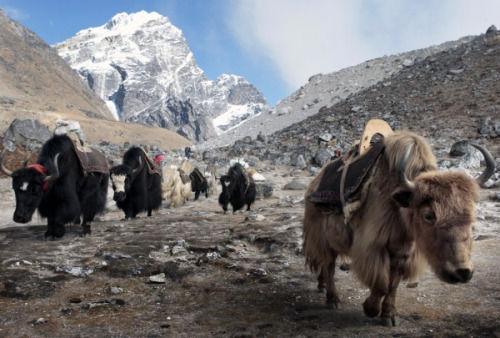 ������ˎ����־�������ӻ���(sh��)ǧ��Ԫ�ϾW(w��ng)�I��ţ