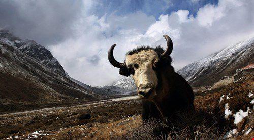 ������ˎ����־���� ���ӻ���(sh��)ǧ��Ԫ�ϾW(w��ng)�I��ţ