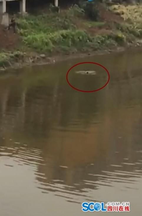 �����и`����������� ��(sh��)�ˇ��^�o��ʩ��(�D)