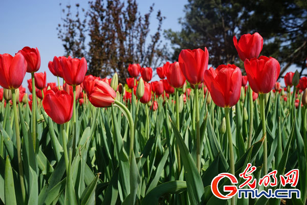 ���W(w��ng)�jý�w���D(zhu��n)�ġ���ɽ���@���_Ļ������Ļ��