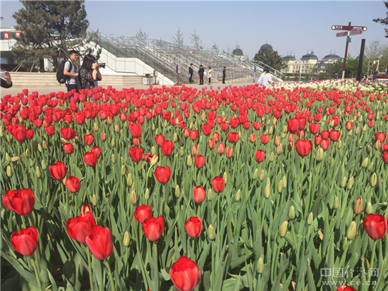 [�W(w��ng)�j(lu��)ý�w���D(zhu��n)��]��ɽ���@��(hu��)�_(k��i)Ļ ��ú�����^(q��)��׃���@