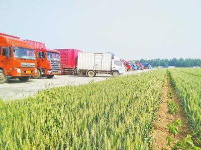 ӛ���ړP(y��ng)��(sh��)��(x��)���������ĈD