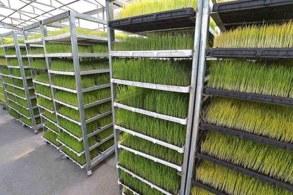 ���ɺ������������܇�g����R�ؔ[�����������������Ȱl(f��)����ˮ���������r��������