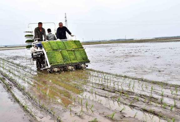 �������ѽ�(j��ng)���F(xi��n)�Cе���������������˄ڄ����a(ch��n)����