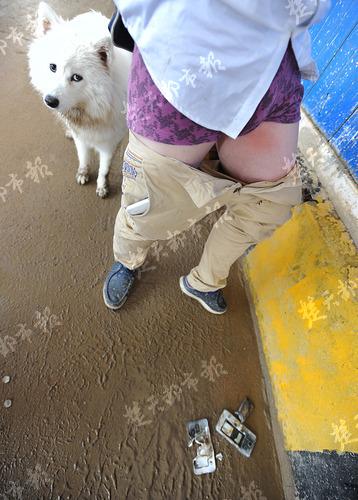 �Y�ψD���������Ȳ����֙C�Ƃ�