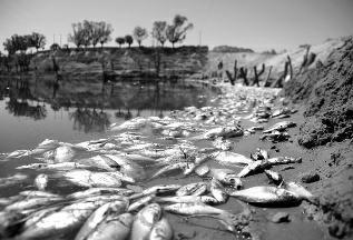 �A�̈�����Ӎ��ӛ�� ���\�� �Ԫ��6��14������߅�h������(zh��n)��һ���ʯ��󣬳а�������ˮ������~���F(xi��n)����e��������Ӌ���~��ʮ�f��������