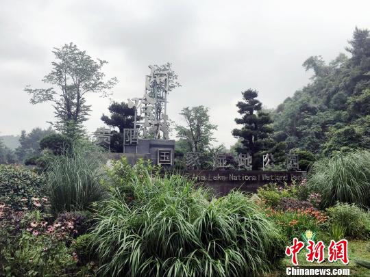 �F�ȫ�����o�����B(t��i)֮�I����ض�Ԫ�rֵ����ҕ