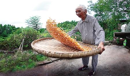 ���υ^(q��)���R��6�磬109�q��������������������דP(y��ng)�m