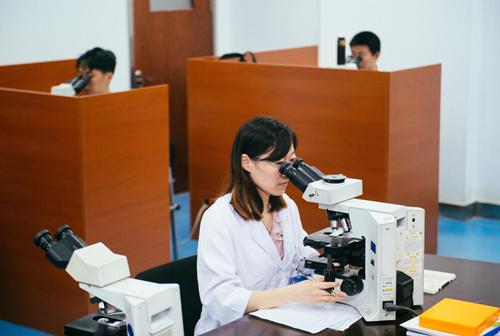 ���K�t(y��)�ģ��ּ��\���ݼ�����