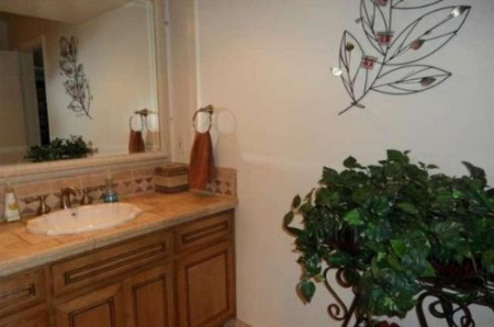 (������qiao��)