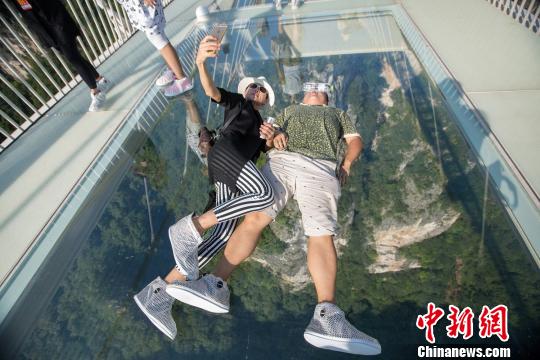 ����������L�����������