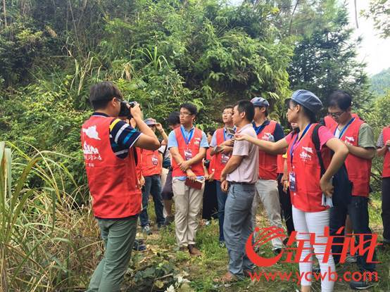 ��(j��)��B��Ŀǰ����(g��)����80%�Ĵ�����N���˻ʵ۸���ȫ�����нӽ�2000���ʵ۸���