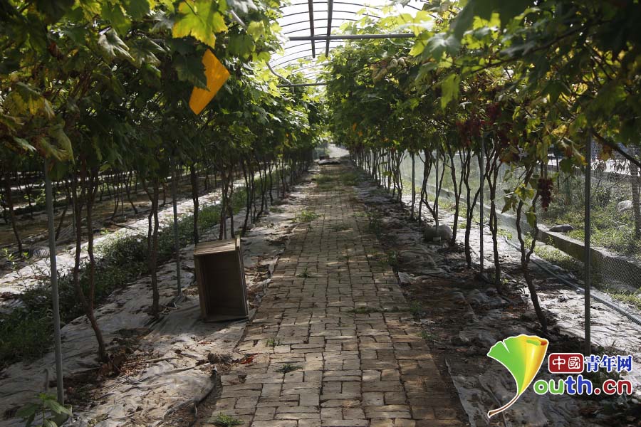 ���W(w��ng)�j(lu��)ý�w�����D(zhu��n)�ġ����t܊���Eӡ���L������ �����υ^(q��)��ԽÓؚ���A��ɽ��