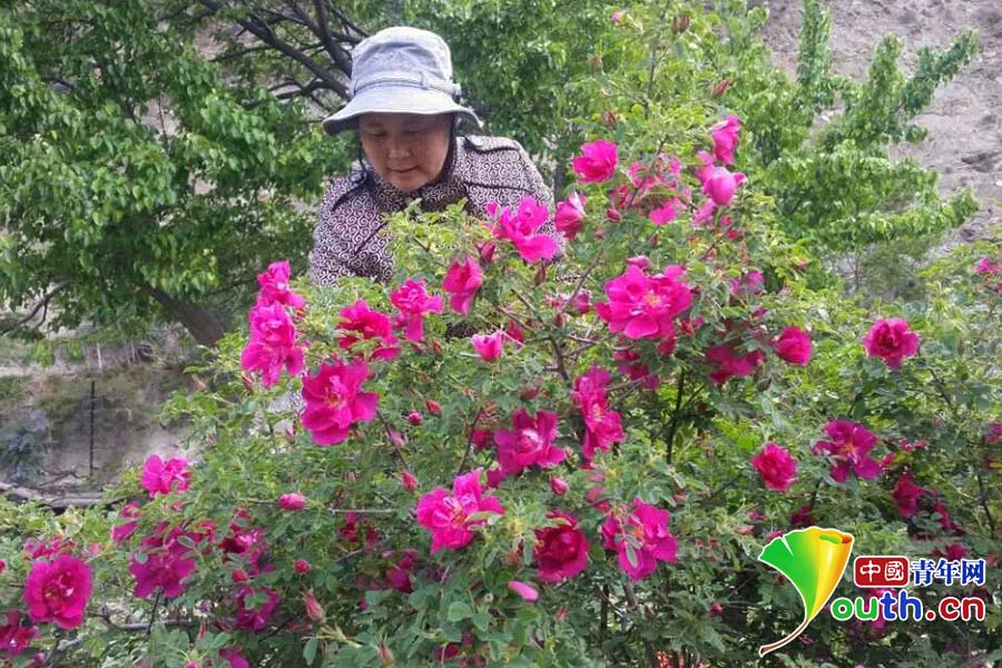 ���W(w��ng)�j(lu��)ý�w�����D(zhu��n)�ġ����t܊���Eӡ���L������ �����υ^(q��)��ԽÓؚ���A��ɽ��