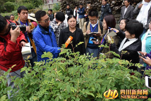 ԭ��(l��i)�L(zh��ng)��·�@ô�y��Ҳ�����@ô����