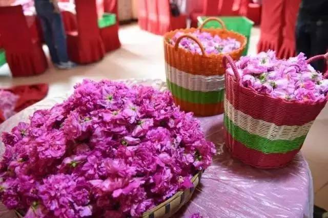 ԭ��(l��i)�L(zh��ng)��·�@ô�y��Ҳ�����@ô����